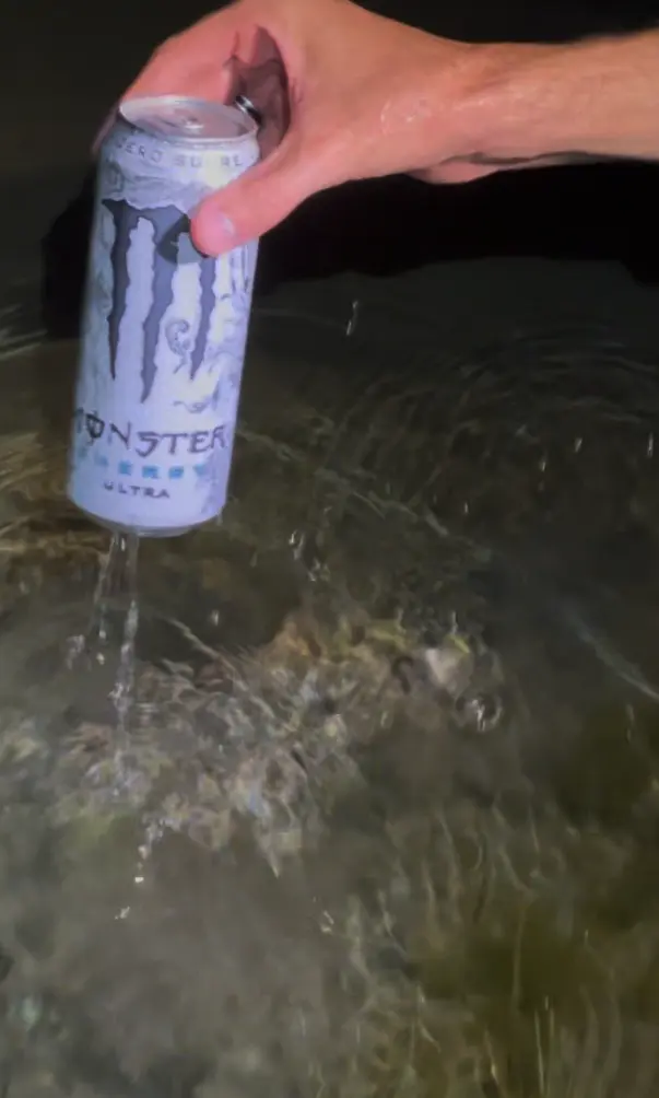 Ultra White "White Monster"