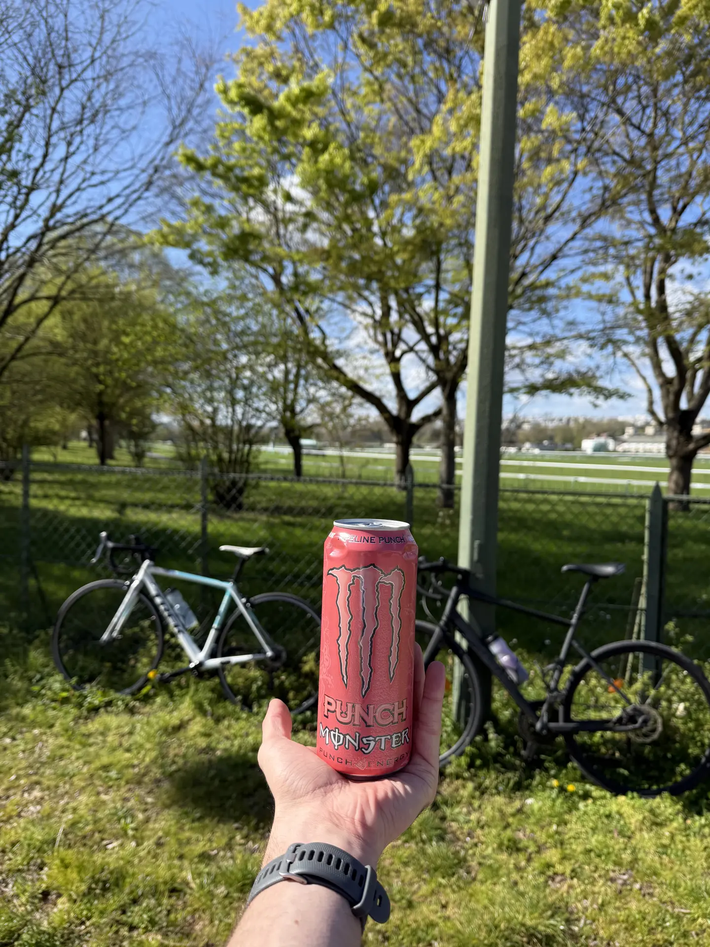 Juice Monster Pipeline Punch