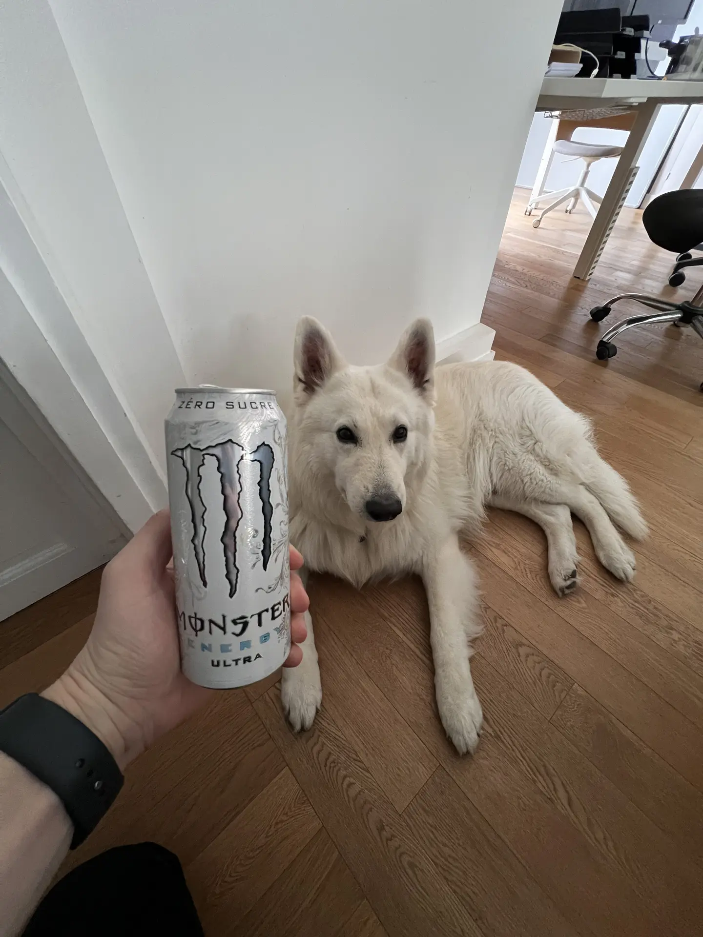 Ultra White "White Monster"