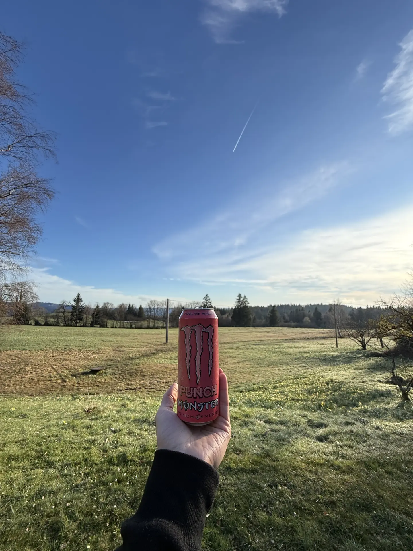 Juice Monster Pipeline Punch