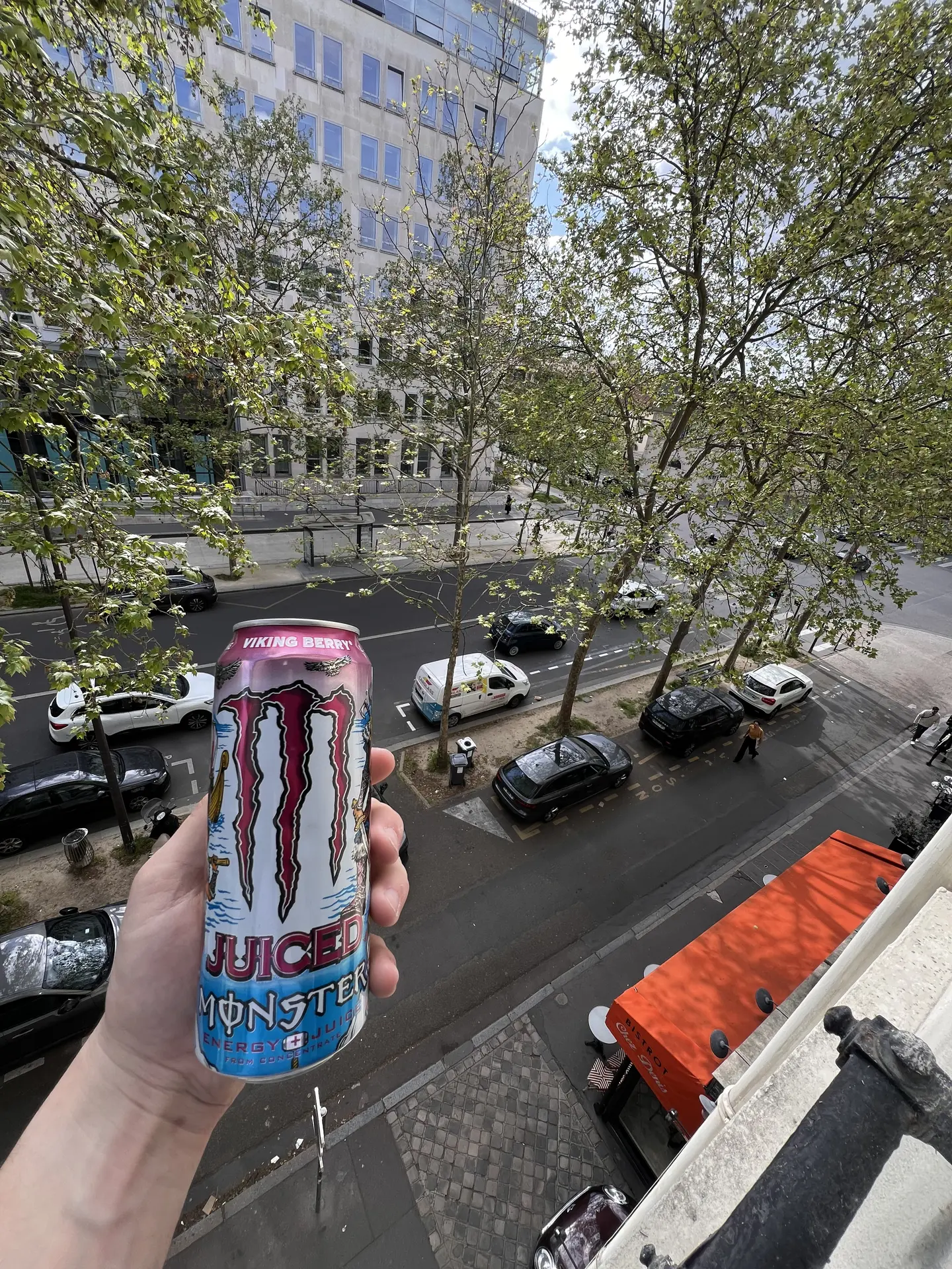 Juice Monster Viking Berry