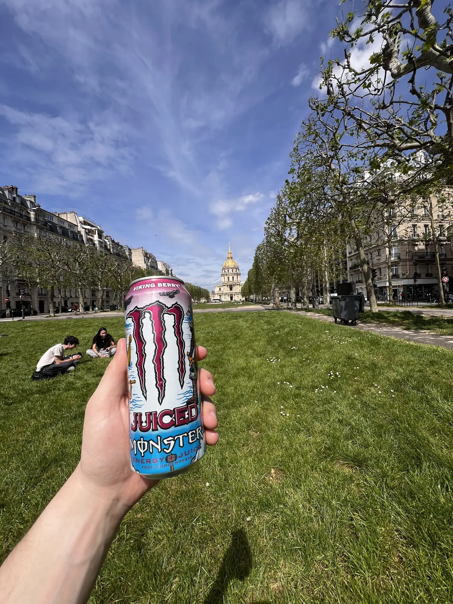 Juice Monster Viking Berry