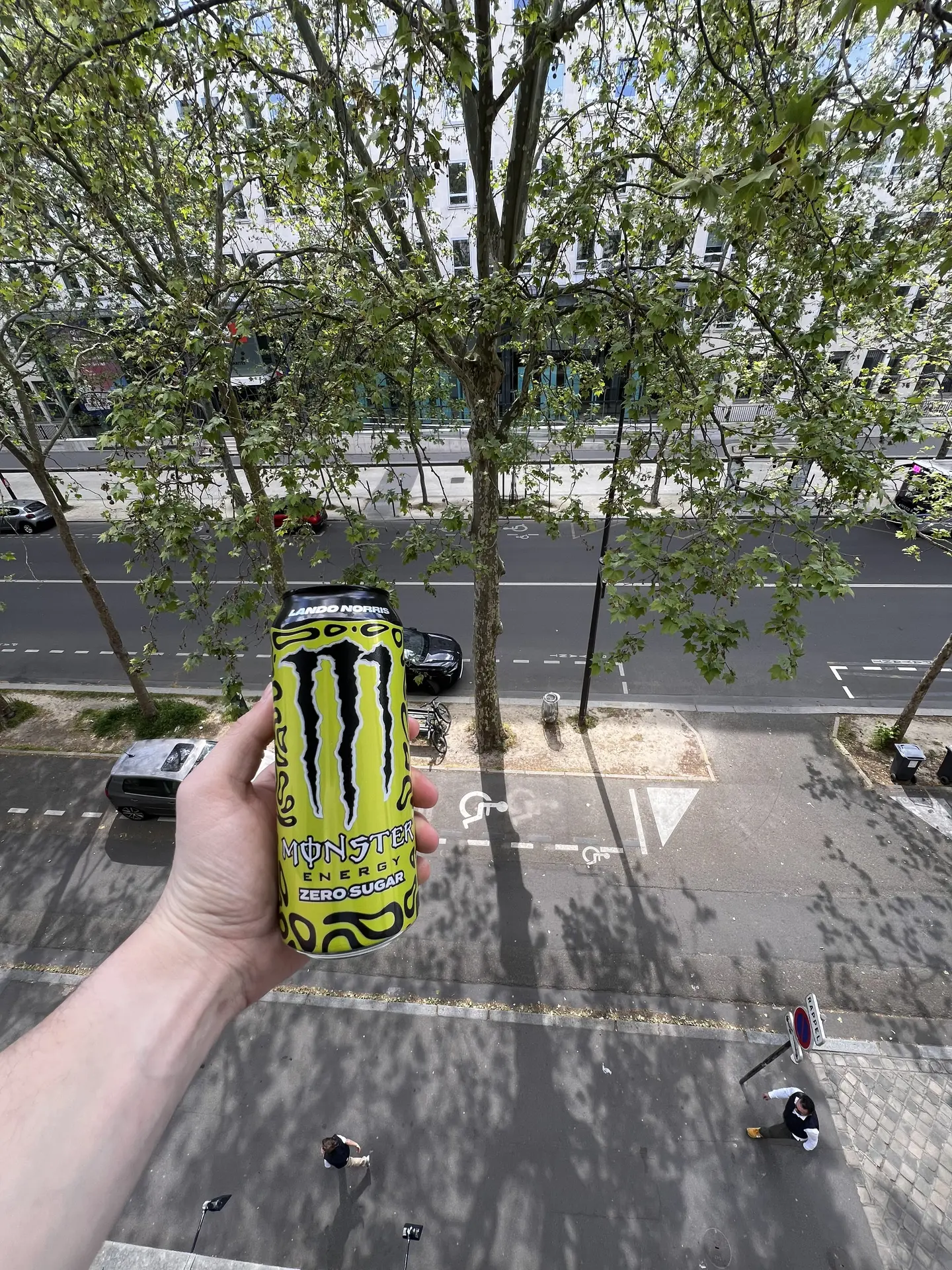 Lando Norris Edition