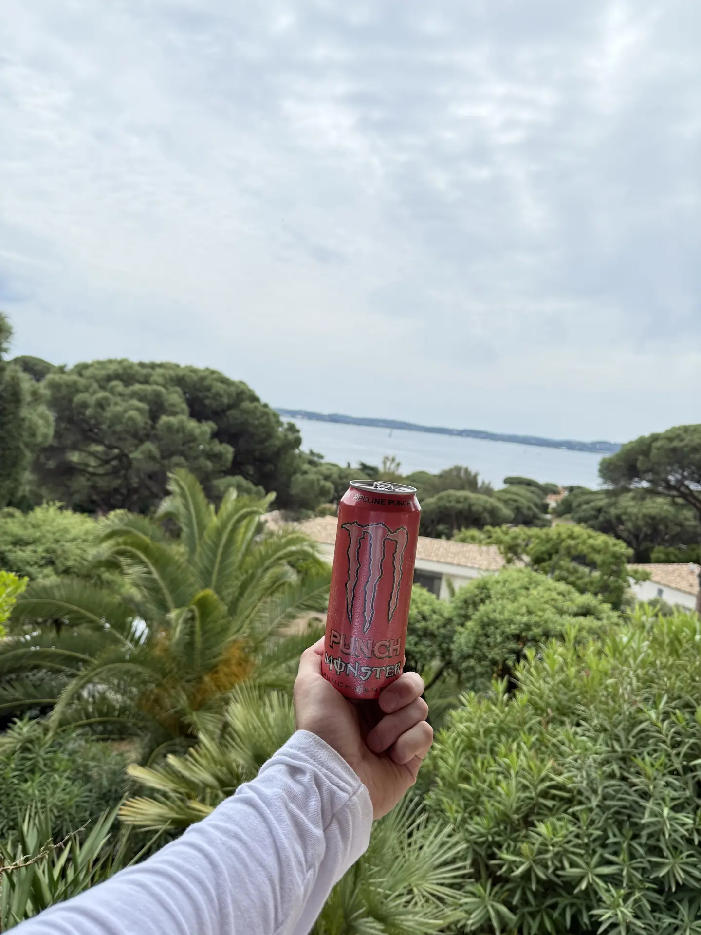Juice Monster Pipeline Punch