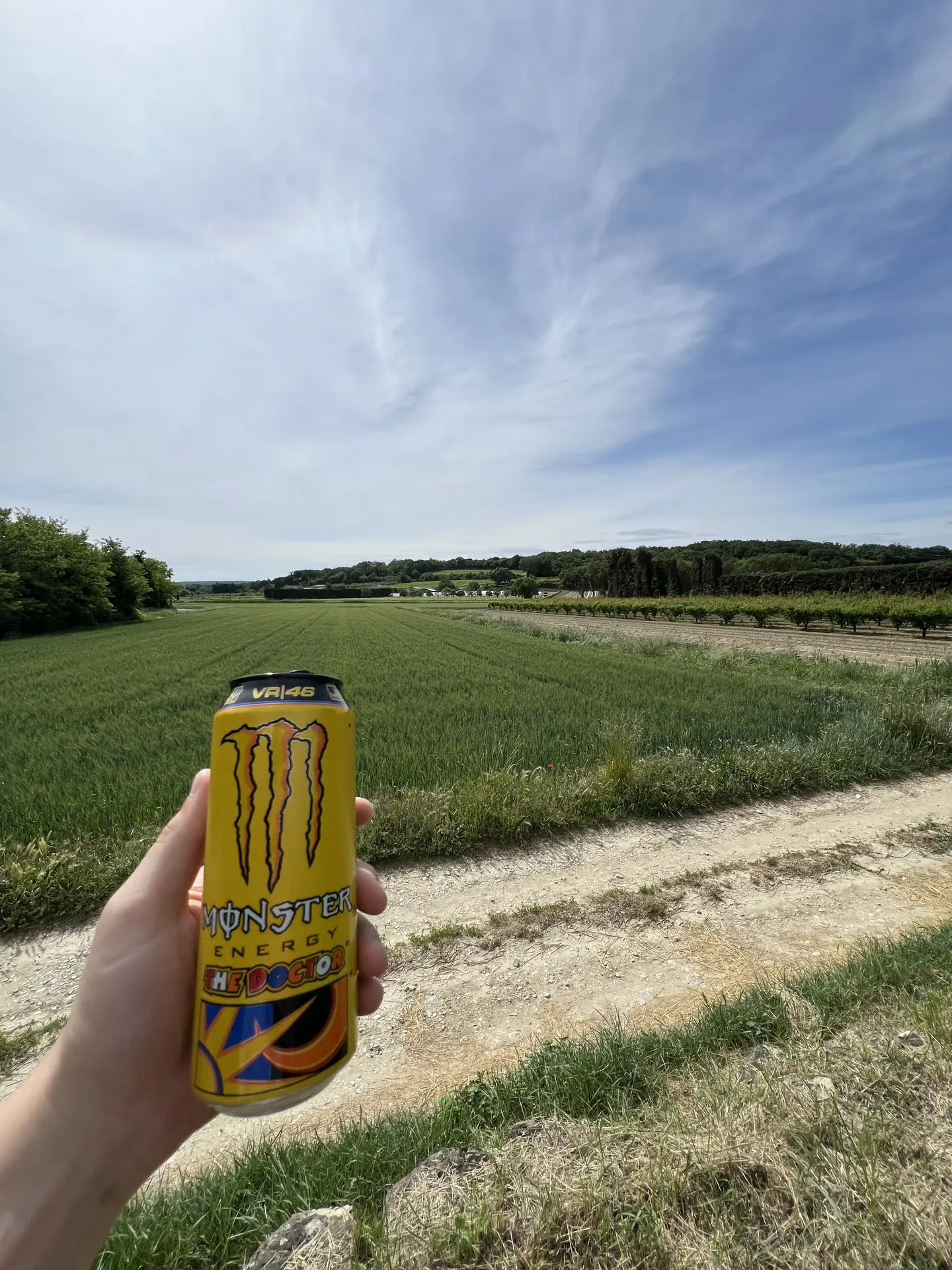 VR46 (Valentino Rossi)