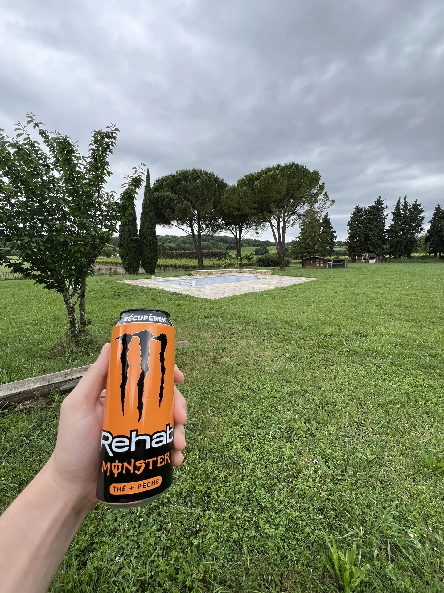 Rehab Peach Tea