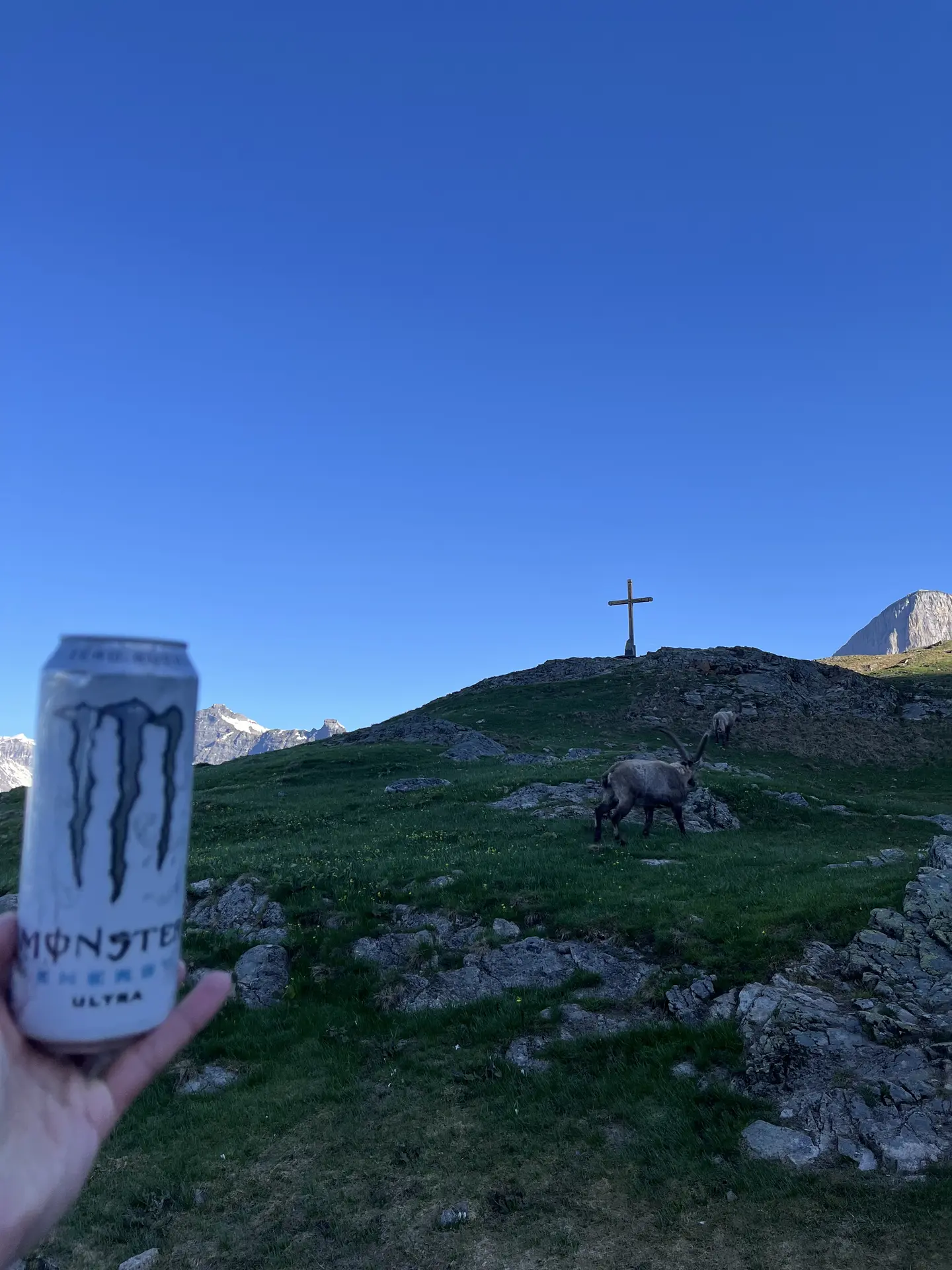 Ultra White "White Monster" submitted by Franciskid