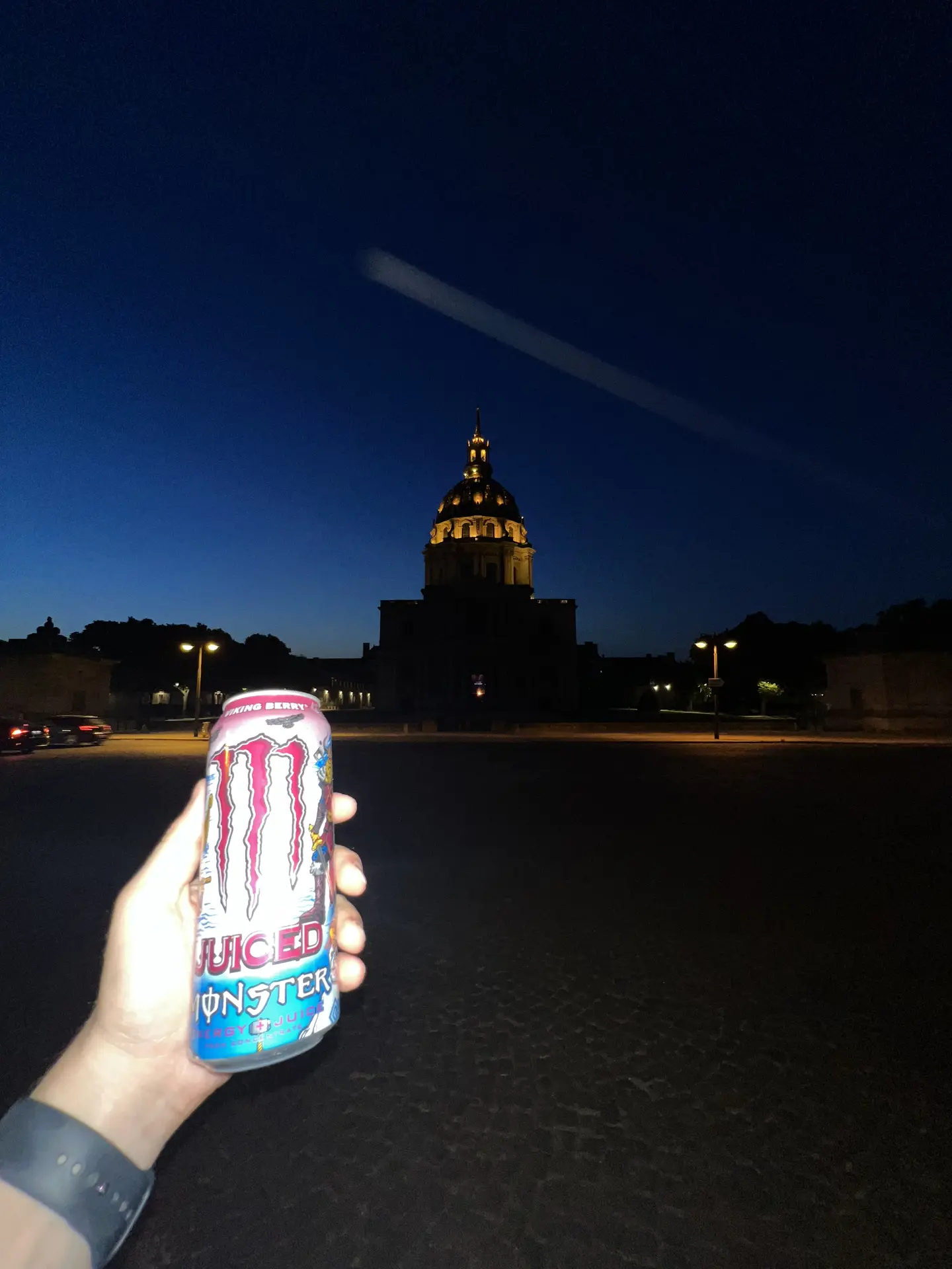 Juice Monster Viking Berry
