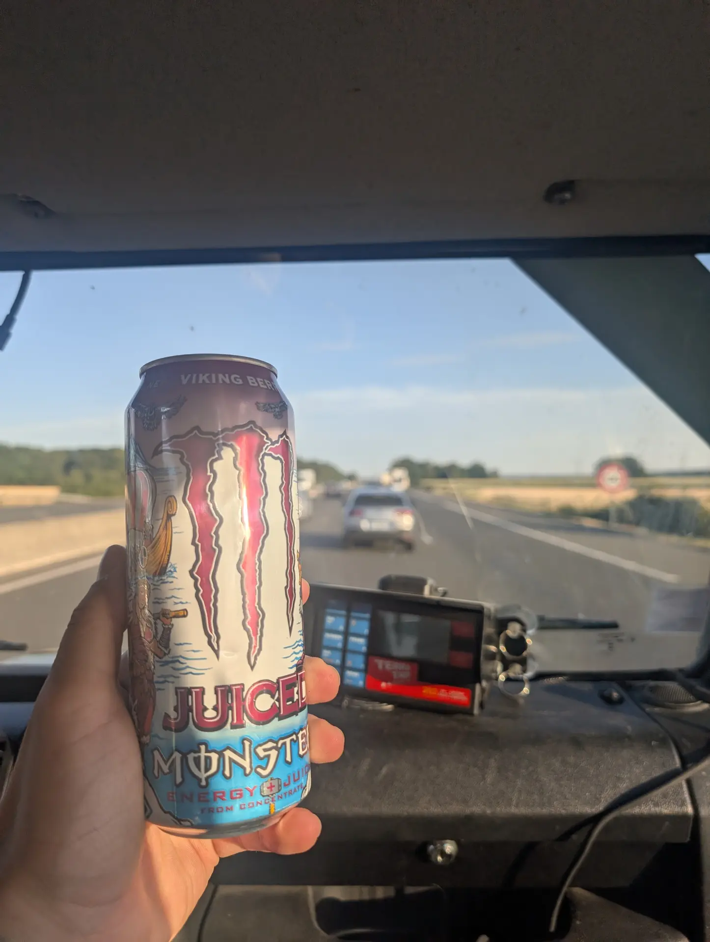 Juice Monster Viking Berry submitted by tonito75