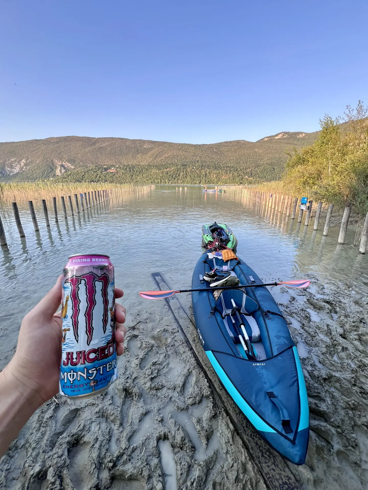 Juice Monster Viking Berry submitted by Lord_Colin