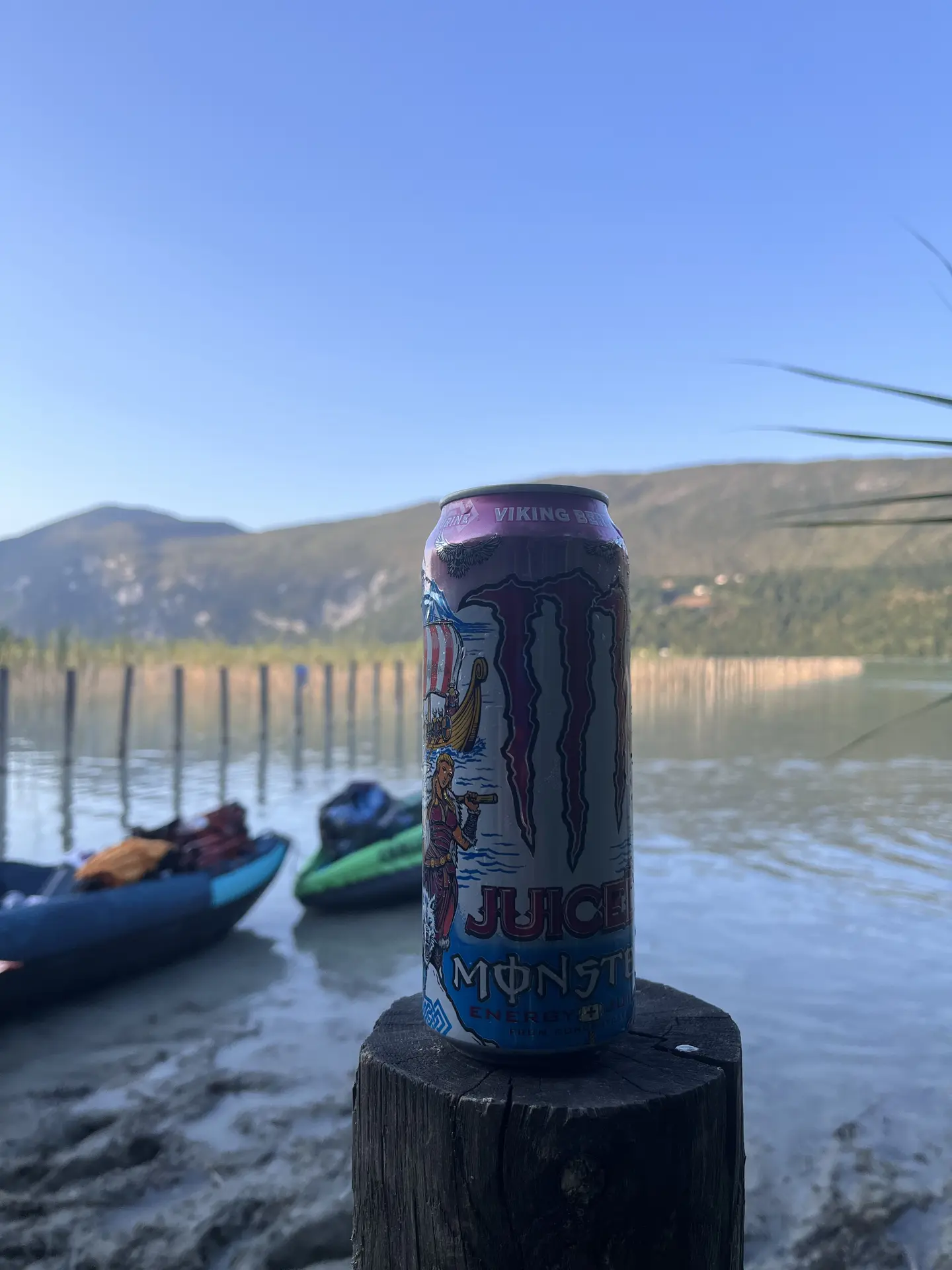 Juice Monster Viking Berry submitted by Franciskid