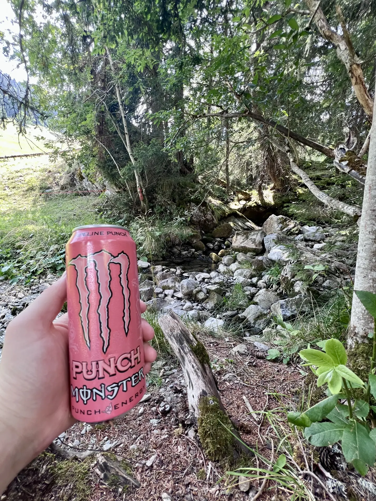 Juice Monster Pipeline Punch submitted by Lord_Colin